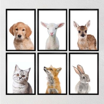 muursticker posters zelfklevend dieren schaap hert geit hond kat poes kinderkamer babykamer A4 formaat1