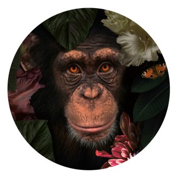 muurcirkel aap botanisch idee woonkamer jungle